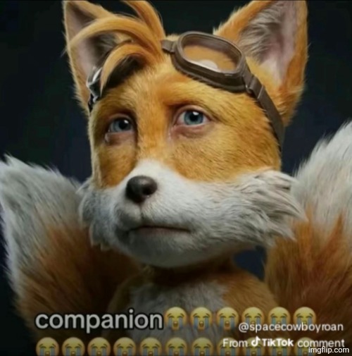 image tagged in companion | made w/ Imgflip meme maker