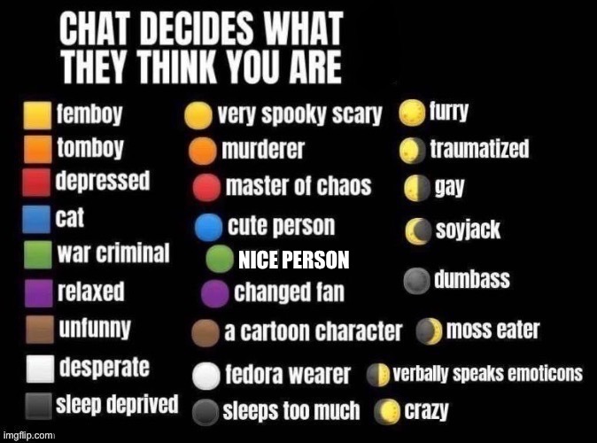 Chat decides what they think you are | Nice person | image tagged in chat decides what they think you are | made w/ Imgflip meme maker