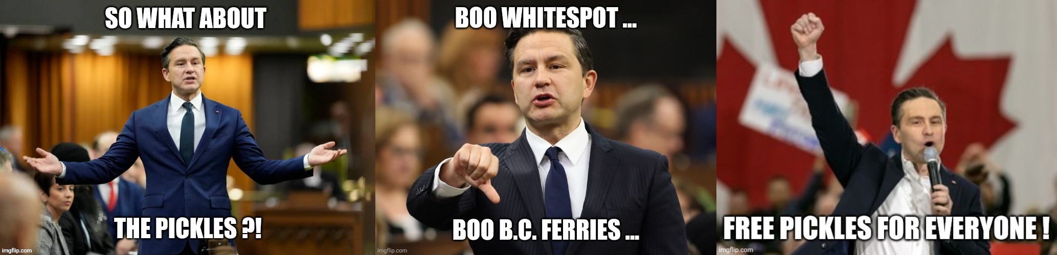 Canadian politics | image tagged in political meme | made w/ Imgflip meme maker