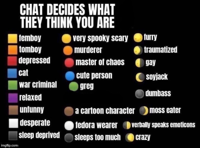 this is a social experiment to see what msmg thinks i am, i am an anti furry but i am curious about what this stream thinks i am | image tagged in chat decides what they think you are | made w/ Imgflip meme maker