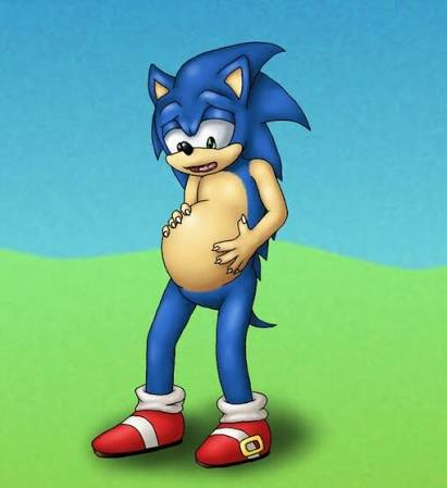Preg sonic Blank Meme Template
