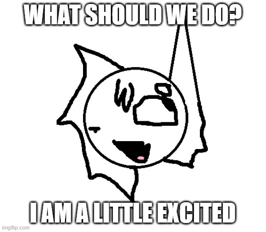 what should we do? i am a little excited | made w/ Imgflip meme maker