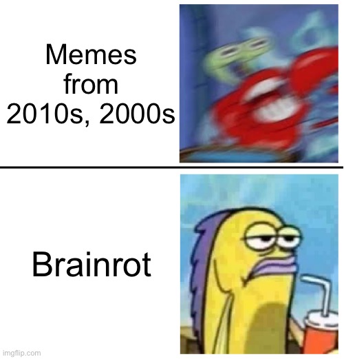 I grew up with OG memes ngl | Memes from 2010s, 2000s; Brainrot | image tagged in excited vs bored | made w/ Imgflip meme maker