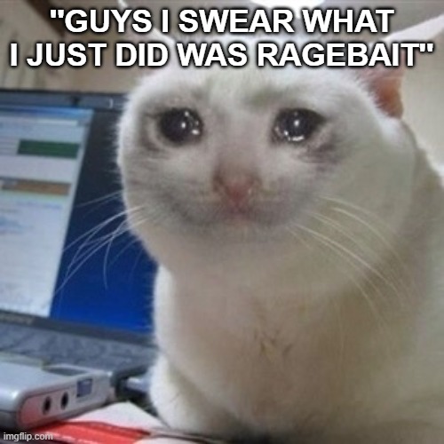 Crying cat | ''GUYS I SWEAR WHAT I JUST DID WAS RAGEBAIT'' | image tagged in crying cat,remix | made w/ Imgflip meme maker
