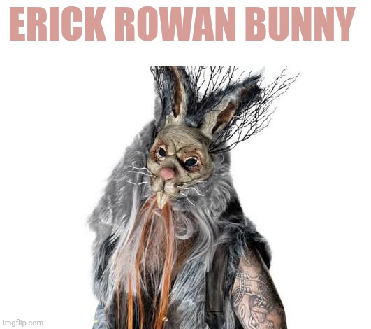 Erick Rowan (rabbit) | Erick Rowan bunny | image tagged in erick rowan rabbit | made w/ Imgflip meme maker