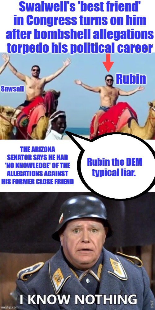 Birds of a feather, flock together. | Swalwell's 'best friend' in Congress turns on him after bombshell allegations torpedo his political career; Sawsall; Rubin; The Arizona Senator says he had 'no knowledge' of the allegations against his former close friend; Rubin the DEM typical liar. | made w/ Imgflip meme maker