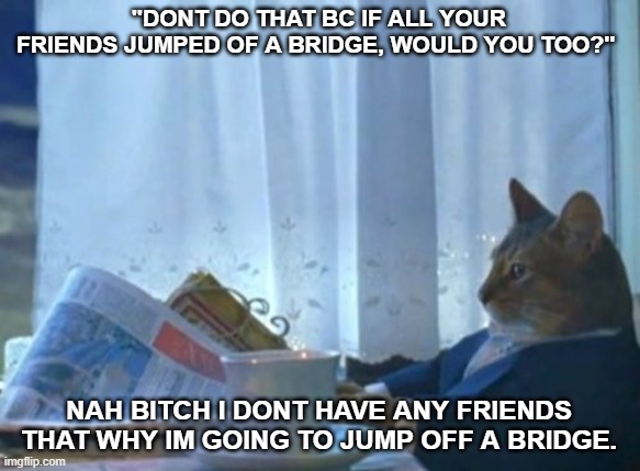 I Should Buy A Boat Cat Meme | ''DONT DO THAT BC IF ALL YOUR FRIENDS JUMPED OF A BRIDGE, WOULD YOU TOO?''; NAH BITCH I DONT HAVE ANY FRIENDS THAT WHY IM GOING TO JUMP OFF A BRIDGE. | image tagged in memes,i should buy a boat cat,remix | made w/ Imgflip meme maker