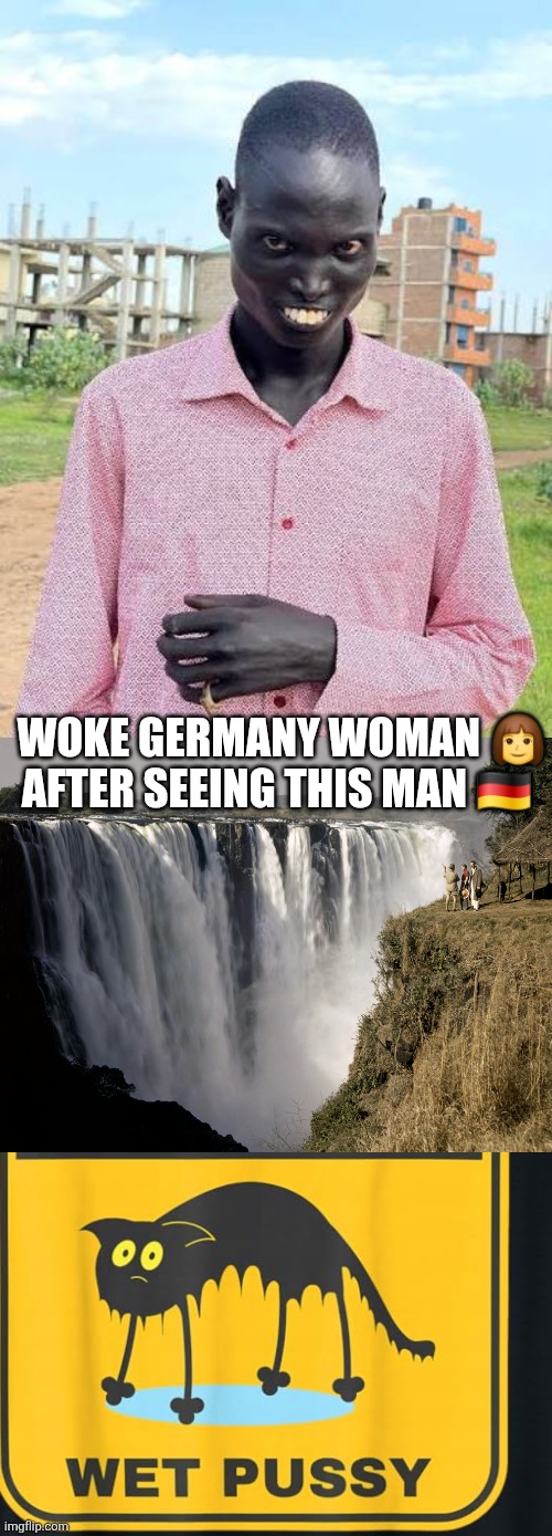 Germany 2026 | Woke germany woman 👩 after seeing this man 🇩🇪 | image tagged in parody,funny | made w/ Imgflip meme maker