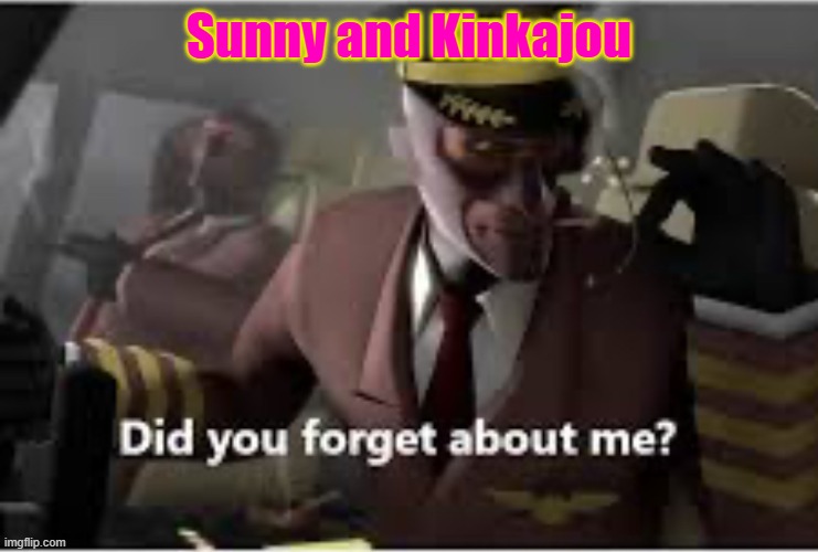 Did you forget about me? | Sunny and Kinkajou | image tagged in did you forget about me | made w/ Imgflip meme maker