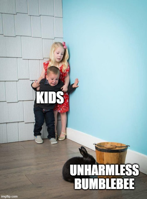 bumblebees | kids; unharmless bumblebee | image tagged in kids afraid of rabbit | made w/ Imgflip meme maker