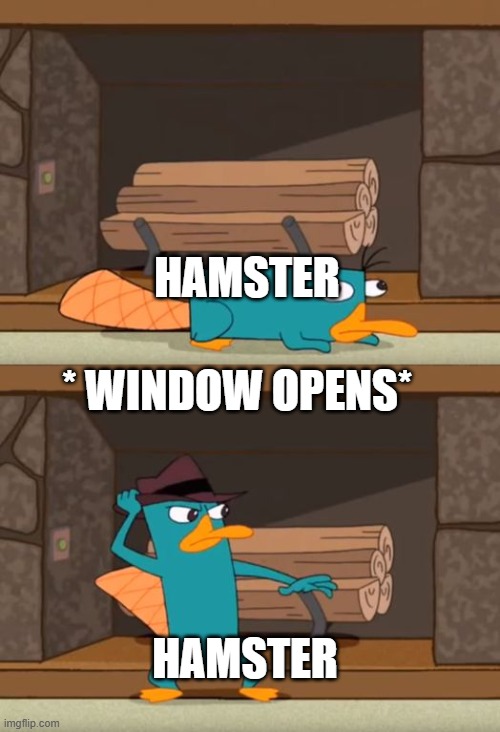 hamsters | hamster; * window opens*; hamster | image tagged in perry the platypus | made w/ Imgflip meme maker