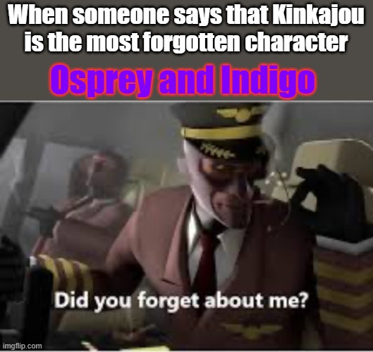 Irrelevant but I could care less. | When someone says that Kinkajou is the most forgotten character; Osprey and Indigo | image tagged in did you forget about me,wings of fire,forgot,underrated,characters | made w/ Imgflip meme maker