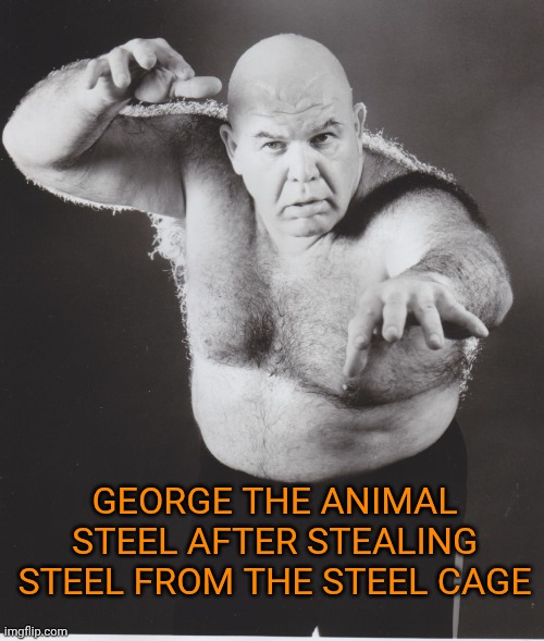 George the Animal Steele | George the animal steel after stealing steel from the steel cage | image tagged in george the animal steele | made w/ Imgflip meme maker