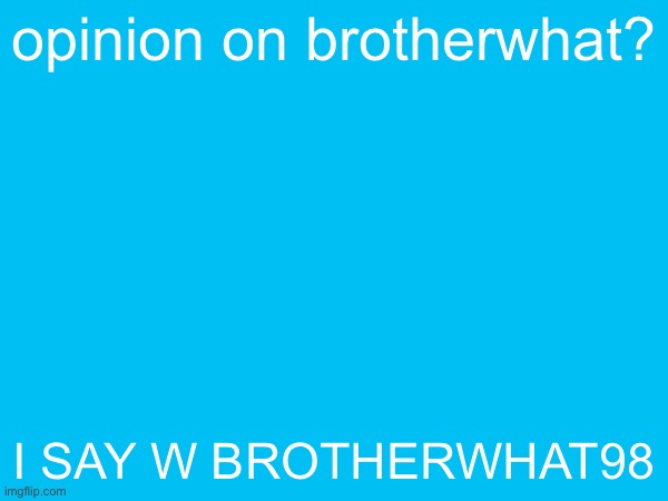 opinion on brotherwhat? i say w brotherwhat98 | made w/ Imgflip meme maker
