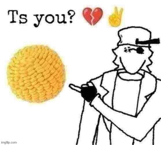 Ts you? Ducc ver. | image tagged in ts you ducc ver | made w/ Imgflip meme maker