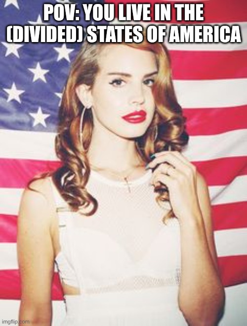 lana del rey | POV: You live in the (divided) States of America | image tagged in lana del rey | made w/ Imgflip meme maker