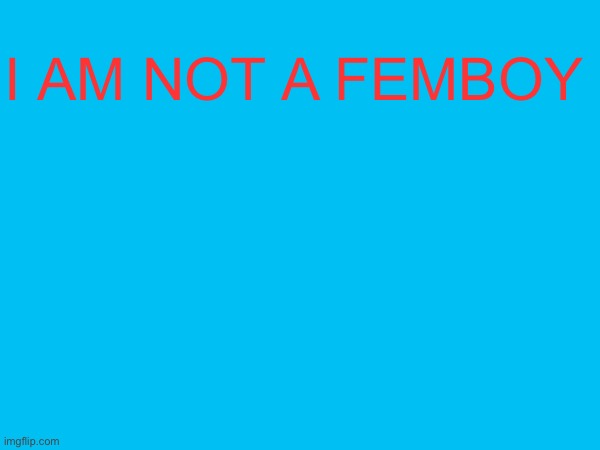 I AM NOT A FEMBOY | made w/ Imgflip meme maker