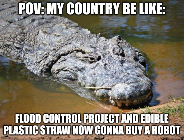 Crocodile | Pov: my country be like:; Flood control project and edible plastic straw now gonna buy a robot | image tagged in crocodile | made w/ Imgflip meme maker