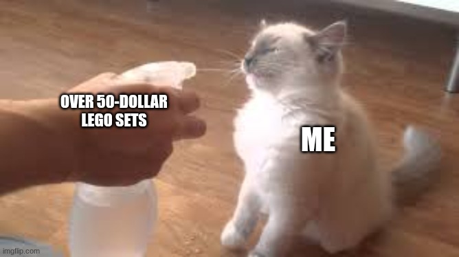 i will consume your money | me; over 50-dollar LEGO sets | image tagged in spray bottle,legos | made w/ Imgflip meme maker
