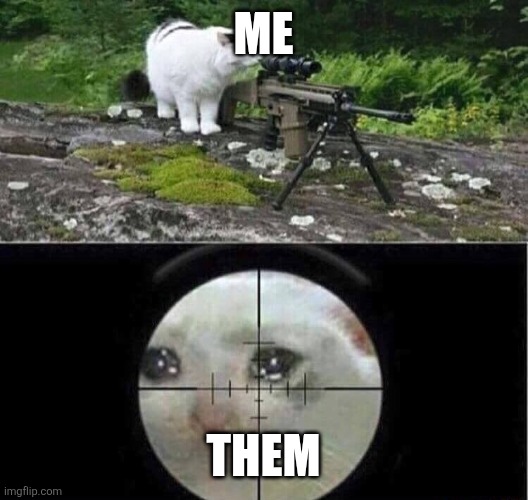 Sniper cat aim crying cat | Me Them | image tagged in sniper cat aim crying cat | made w/ Imgflip meme maker