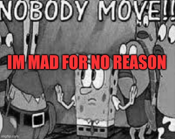 NOBODY MOVE!! | IM MAD FOR NO REASON | image tagged in nobody move | made w/ Imgflip meme maker