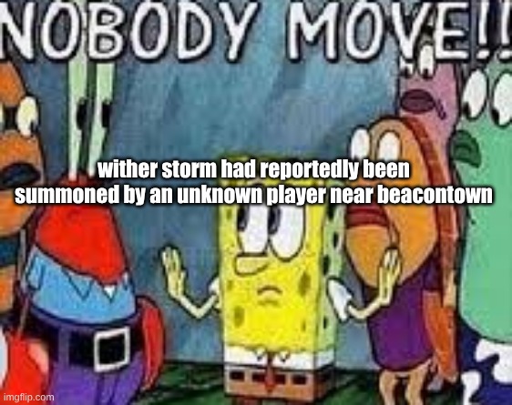 NOBODY MOVE!! | wither storm had reportedly been summoned by an unknown player near beacontown | image tagged in nobody move | made w/ Imgflip meme maker