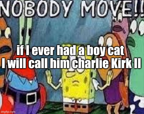 NOBODY MOVE!! | if I ever had a boy cat 
I will call him charlie Kirk II | image tagged in nobody move | made w/ Imgflip meme maker