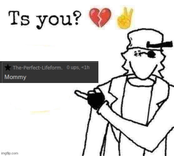 image tagged in ts you ducc ver | made w/ Imgflip meme maker