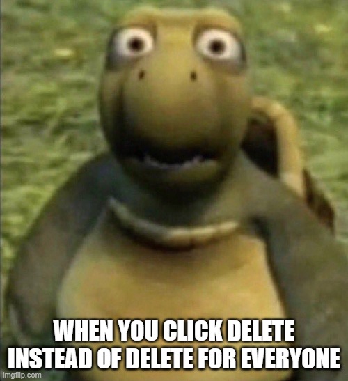 deleting messages | when you click delete instead of delete for everyone | image tagged in shocked turtle | made w/ Imgflip meme maker