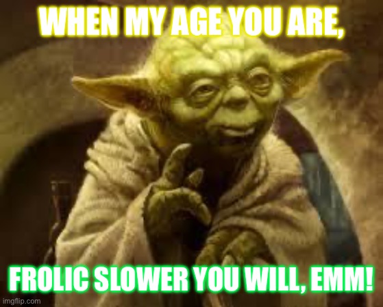 yoda | When my age you are, Frolic slower you will, emm! | image tagged in yoda | made w/ Imgflip meme maker