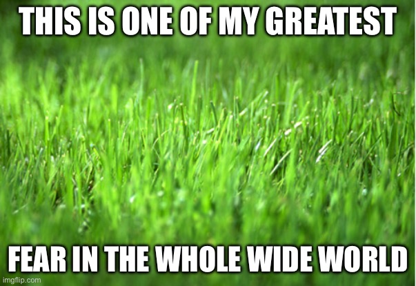 Grass | This is one of my greatest; Fear in the whole wide world | image tagged in grass is greener,fear | made w/ Imgflip meme maker