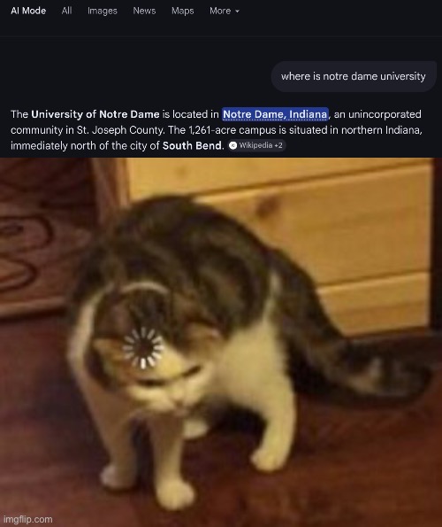 When you get answers that dont make sense but it does make sense at the same time | image tagged in loading cat,what,fail | made w/ Imgflip meme maker