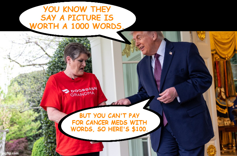 A billionaire takes pity on Doordash Grandma and tips her $100. | You know they say a picture is worth a 1000 words. but you can't pay for cancer meds with words, so here's $100. | made w/ Imgflip meme maker