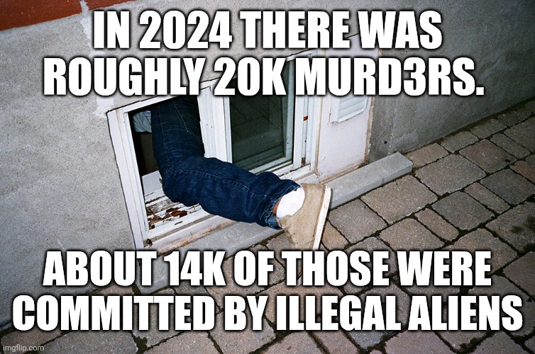 In 2024 there was roughly 20k murd3rs. About 14k of those were committed by illegal aliens | image tagged in funny memes | made w/ Imgflip meme maker