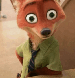 wide eye fox Blank Meme Template