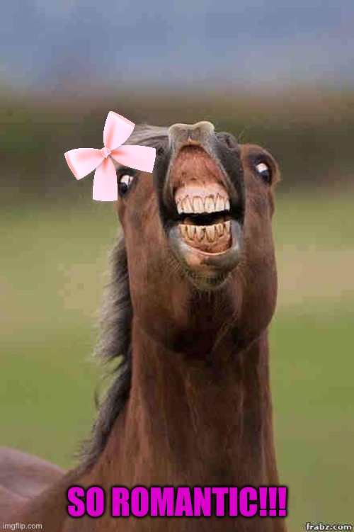 horse face | So romantic!!! | image tagged in horse face | made w/ Imgflip meme maker