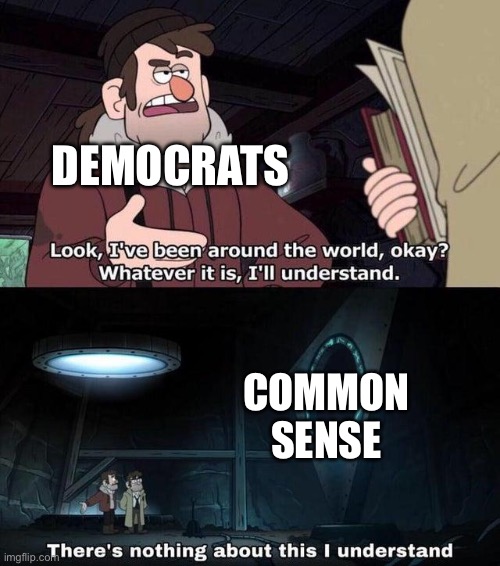 Gravity Falls Understanding | Democrats; Common sense | image tagged in gravity falls understanding | made w/ Imgflip meme maker