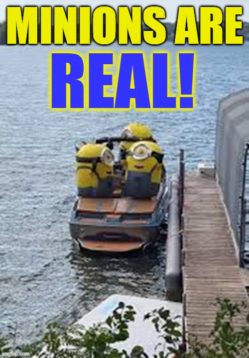 ...and caught in the act! | MINIONS ARE; REAL! | image tagged in vince vance,minions,despicable me,memes,cartoons,gru meme | made w/ Imgflip meme maker