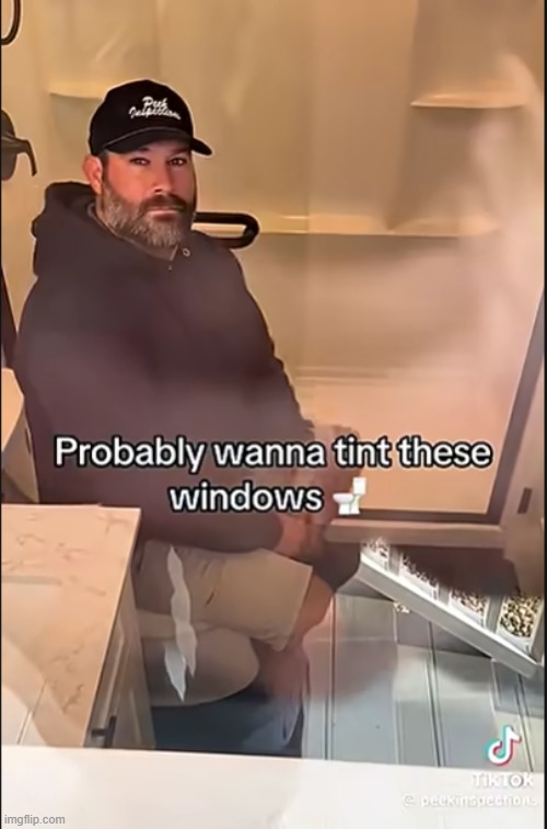 whatchu mean by "probably" | image tagged in toilet | made w/ Imgflip meme maker