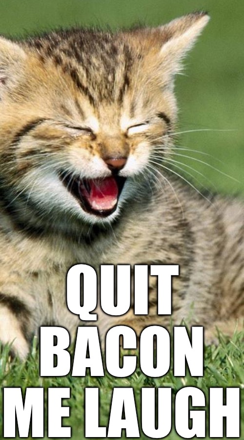 Quit Bacon me laugh | made w/ Imgflip meme maker