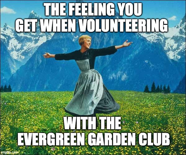 Julie Andrews | the feeling you get when volunteering; with the 
evergreen garden club | image tagged in julie andrews | made w/ Imgflip meme maker