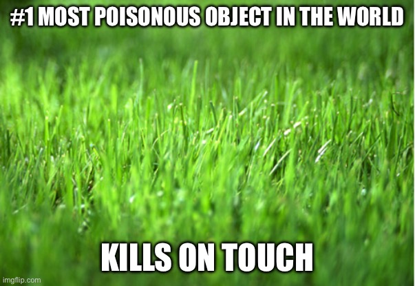 grass is greener | #1 most poisonous object in the world Kills on touch | image tagged in grass is greener | made w/ Imgflip meme maker