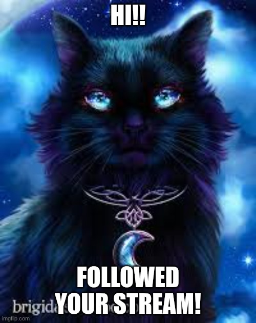 Siyra. in her cat form. | Hi!! Followed your Stream! | image tagged in siyra cat form | made w/ Imgflip meme maker