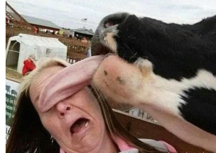 Chrisjoines1 Blank Meme Template