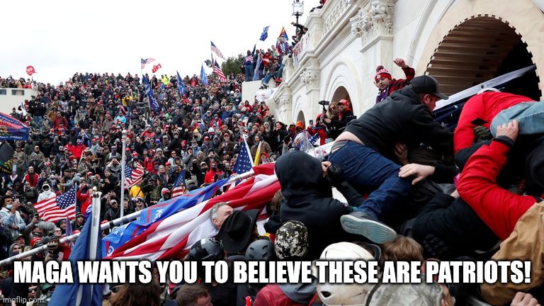 Maga wants you to believe these are patriots! | image tagged in capitol terrorists | made w/ Imgflip meme maker