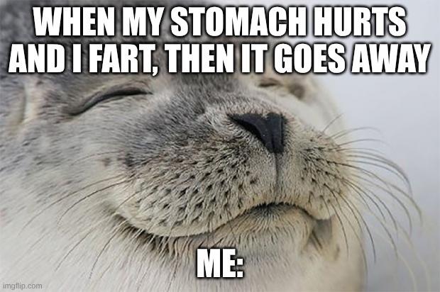 Stomach aches can be solved by farts somehow ig | When my stomach hurts and I fart, then it goes away; Me: | image tagged in memes,satisfied seal | made w/ Imgflip meme maker