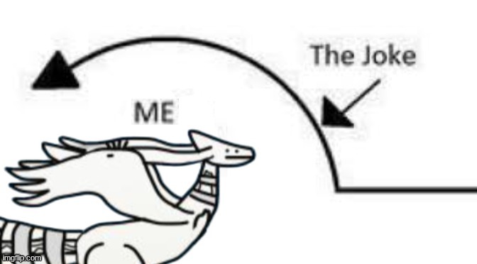 reshiram don't get | image tagged in reshiram don't get | made w/ Imgflip meme maker