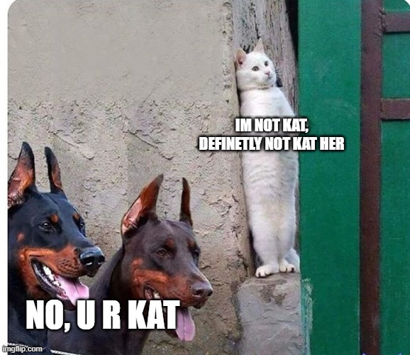 Just Sh!t Post | IM NOT KAT,
DEFINETLY NOT KAT HER; NO, U R KAT | image tagged in hidden cat | made w/ Imgflip meme maker