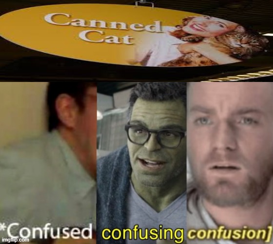 CANNED CAT?!?! | image tagged in confused confusing confusion | made w/ Imgflip meme maker