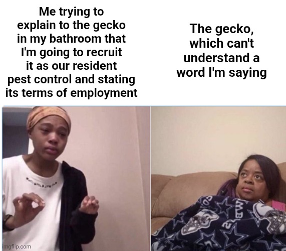 Bro just vibing and suddenly some human comes in and starts yapping like crazy | Me trying to explain to the gecko in my bathroom that I'm going to recruit it as our resident pest control and stating its terms of employment; The gecko, which can't understand a word I'm saying | image tagged in girl crying to her mum,memes,gecko,reptile,bruh | made w/ Imgflip meme maker